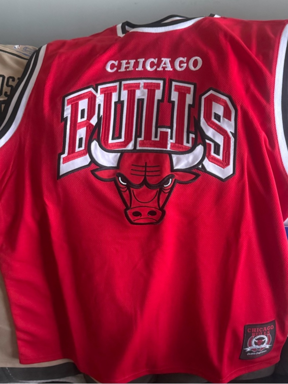 Chicago Bulls Jersey
